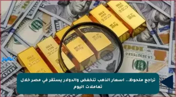 تراجع ملحوظ.. أسعار الذهب تنخفض والدولار يستقر في مصر خلال تعاملات اليوم